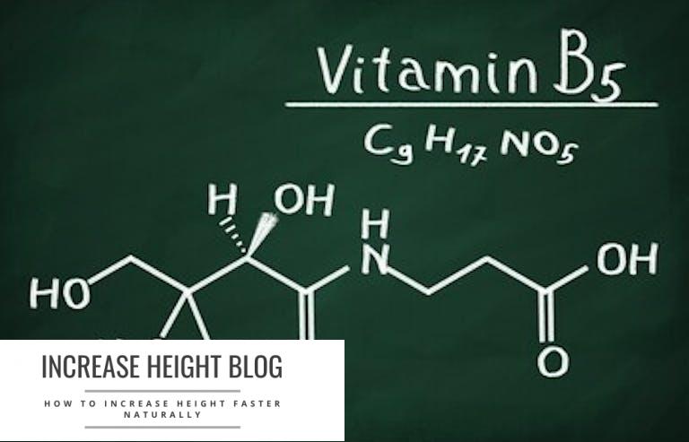 Vitamin B5 plays a crucial role in the body's metabolism.
