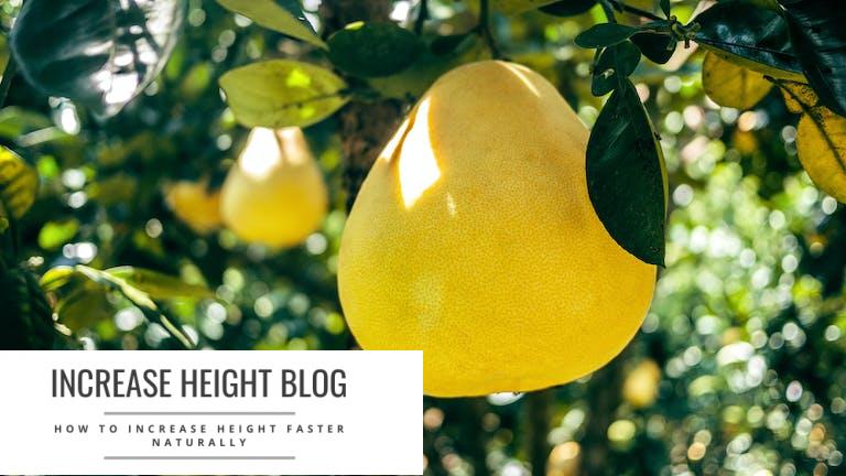 Features of the grapefruit diet for weight loss