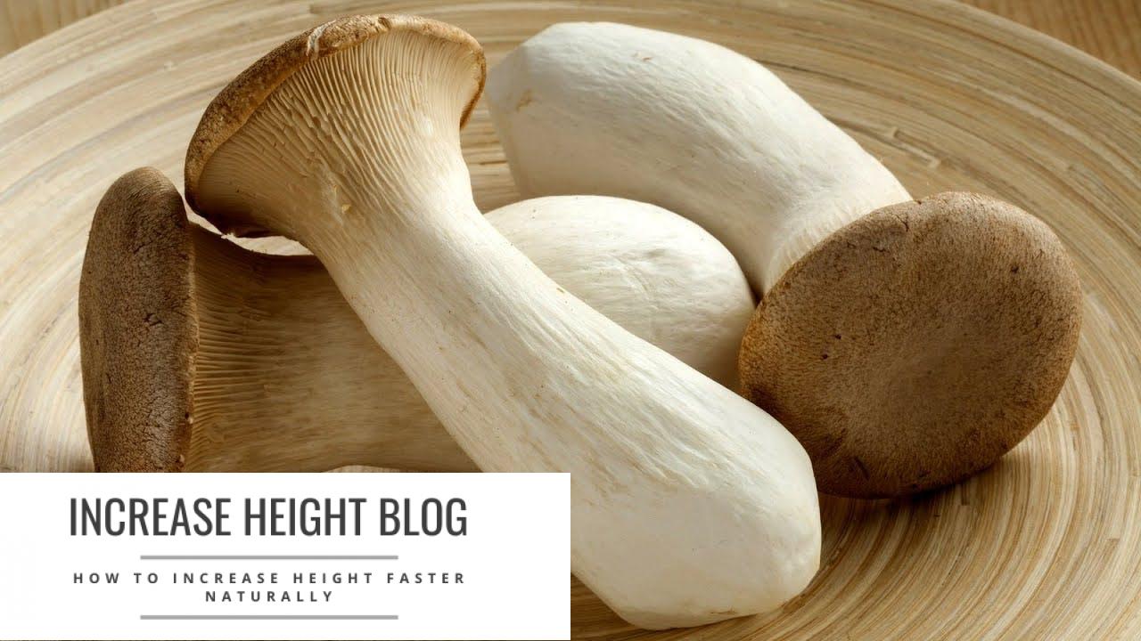 Chicken thigh mushroom overview