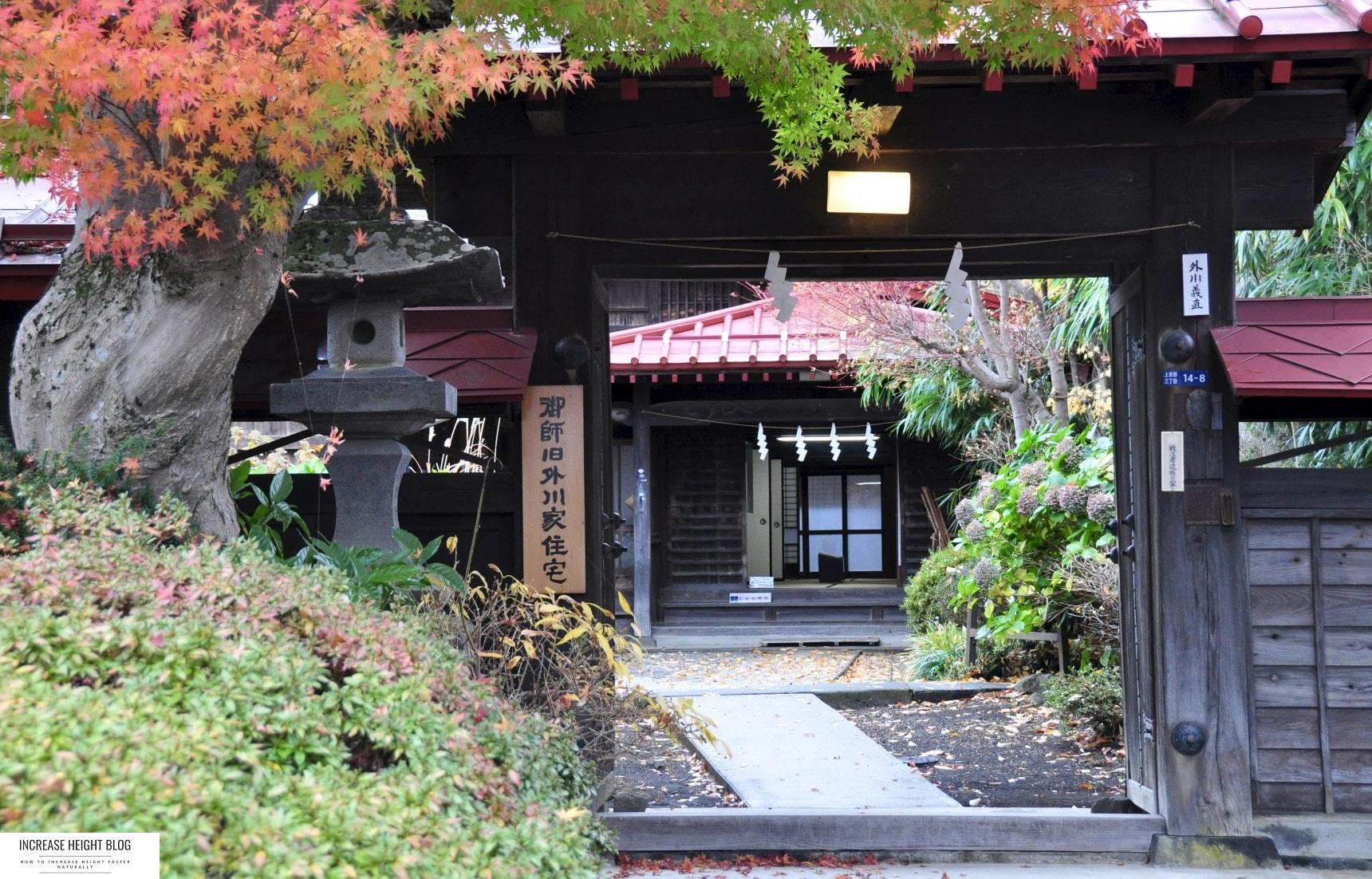 Togawa Oshi House: Lodging for Fuji Pilgrims
