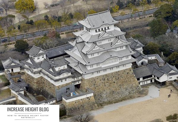 Himeji Castle - World Cultural Heritage in Japan
