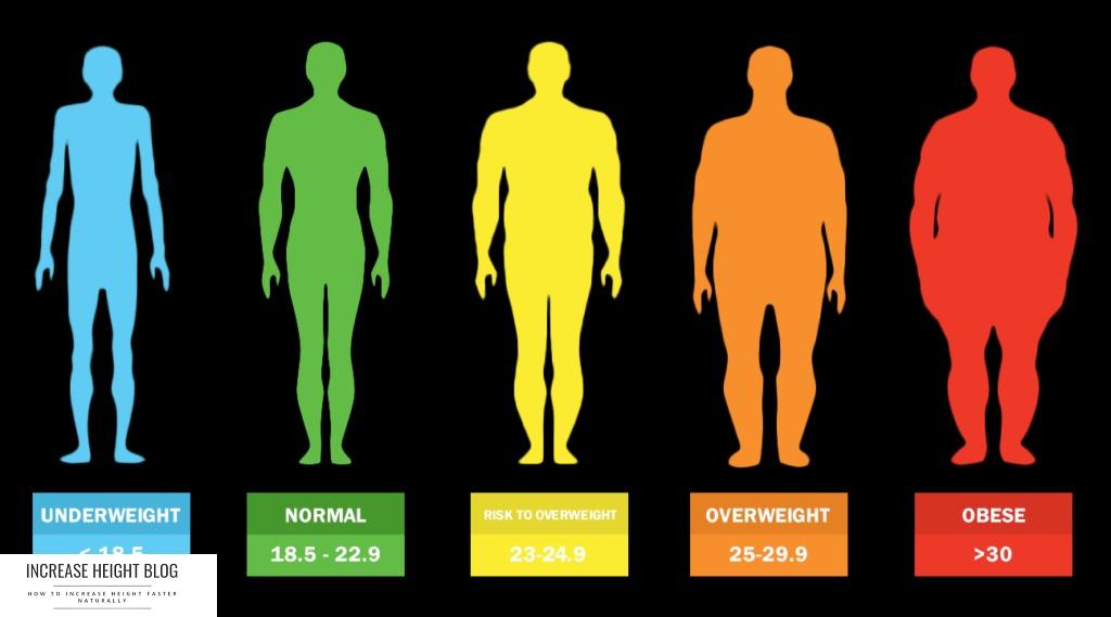 Calculating the Body Mass Index (BMI) for Men