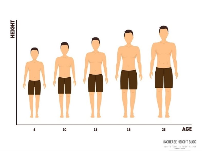 Essential Insights on Age-Related Height Development