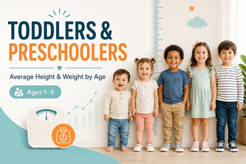 Average Toddler & Preschooler Height & Weight by Age