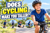 Does Cycling Make You Taller?
